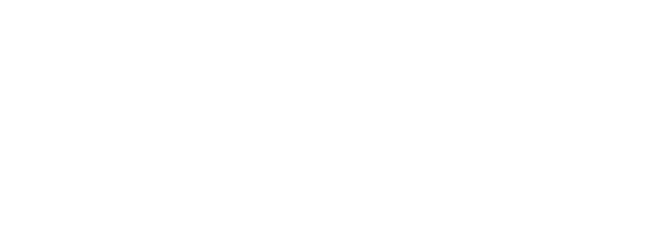 Visit Singapore Logo