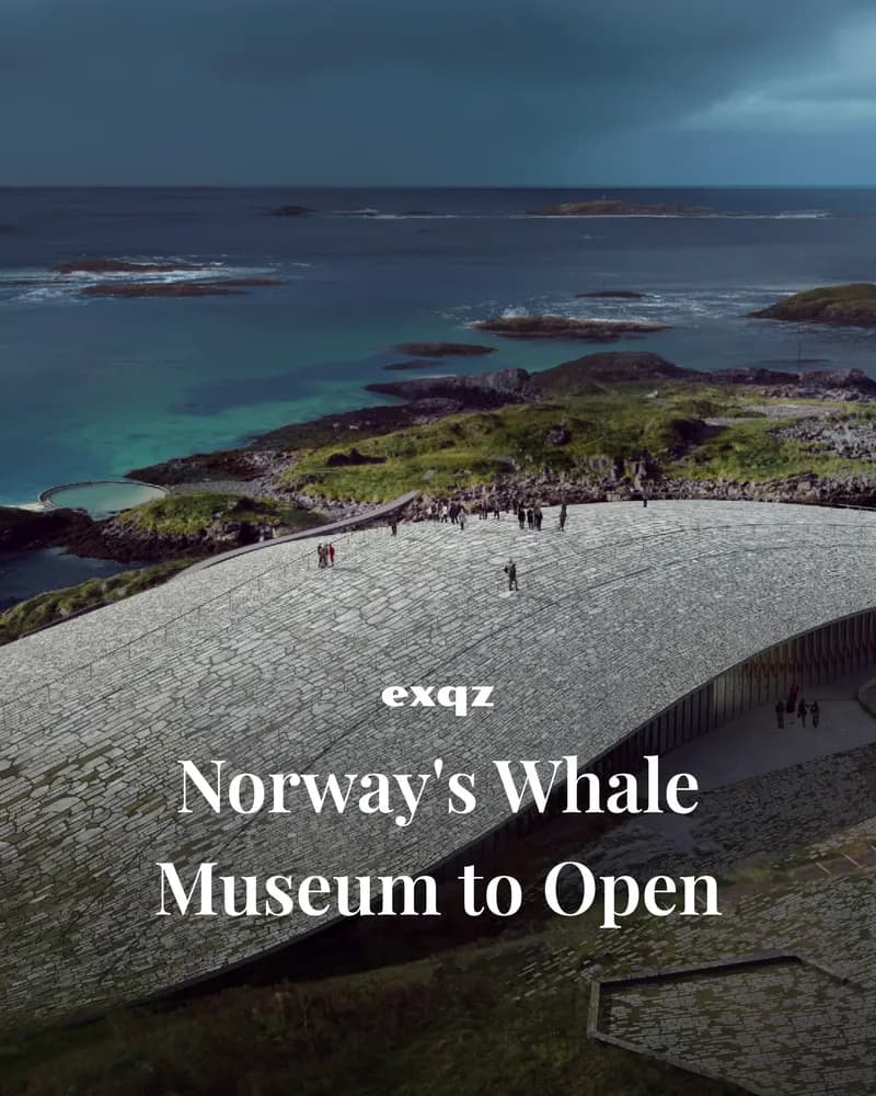 @exqzguide post on The Whale