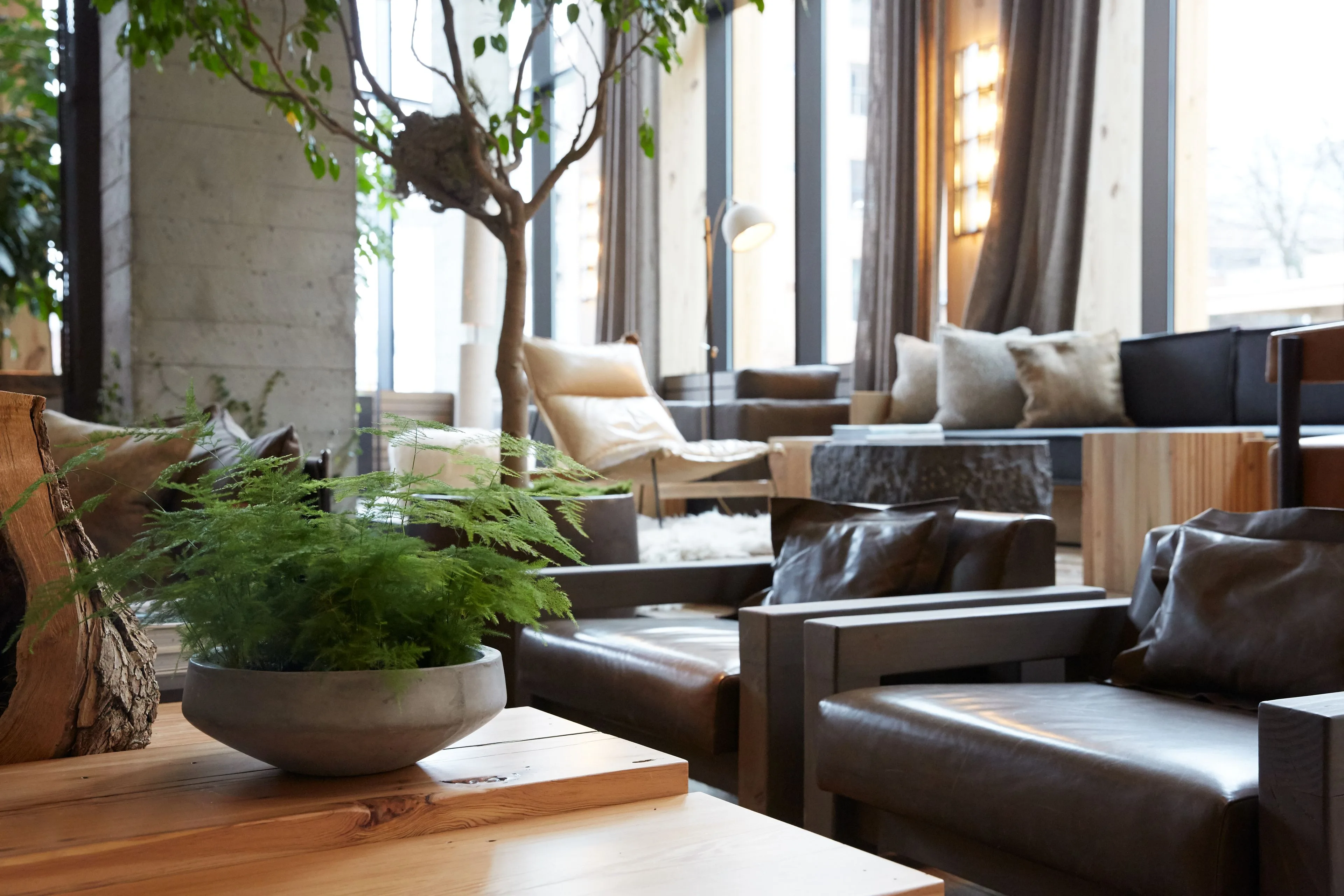 Beautiful Lounges in NYC