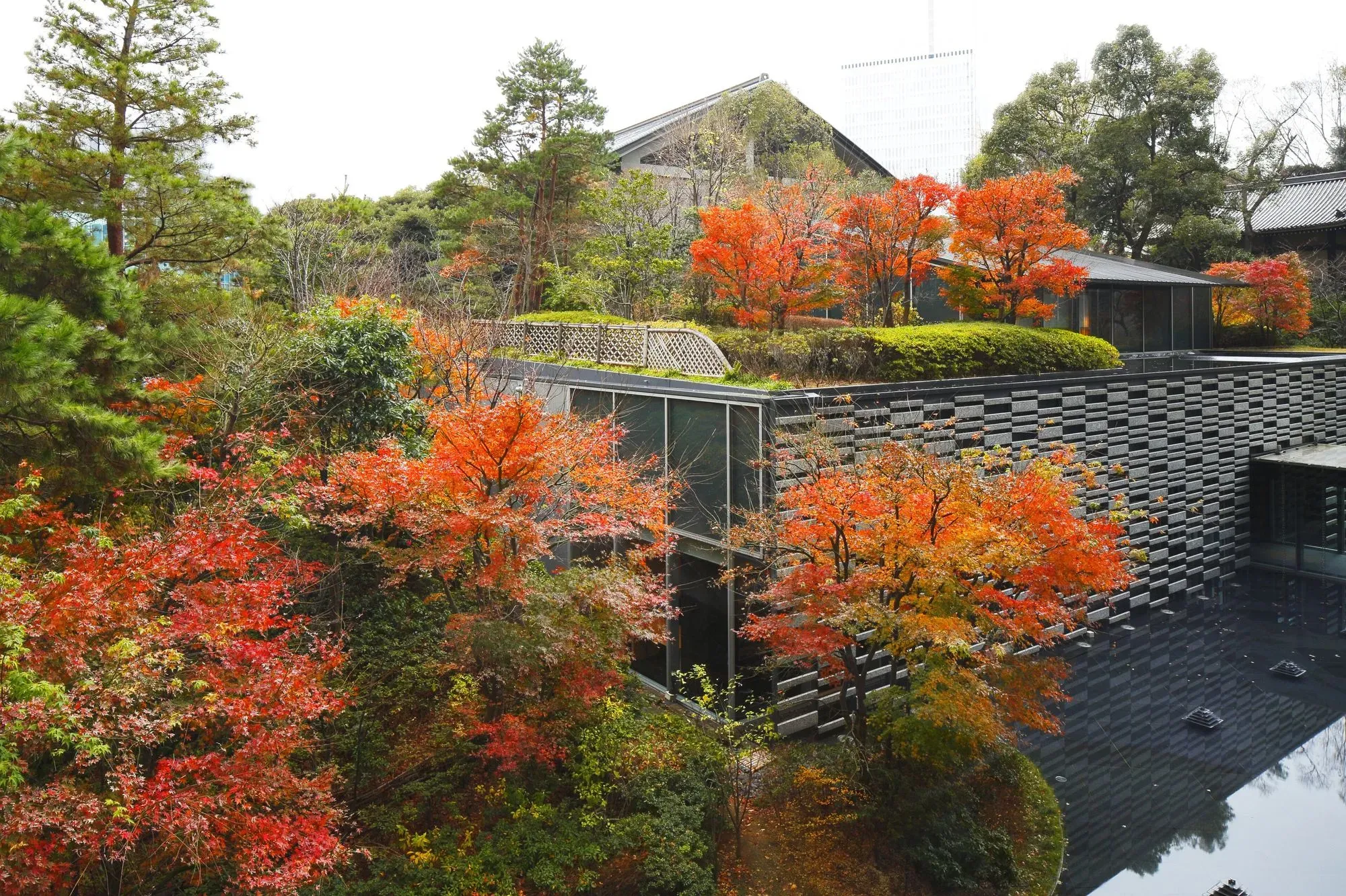 The Capitol Hotel Tokyu